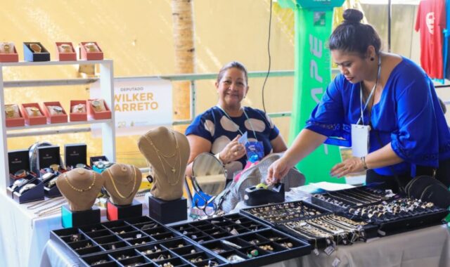 Leis estaduais ampliam foco em empreendedorismo para jovens, idosos e municípios do interior do Amazonas