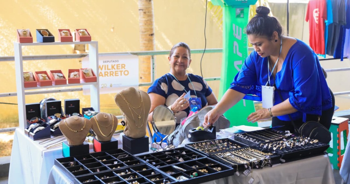 Leis estaduais ampliam foco em empreendedorismo para jovens, idosos e municípios do interior do Amazonas
